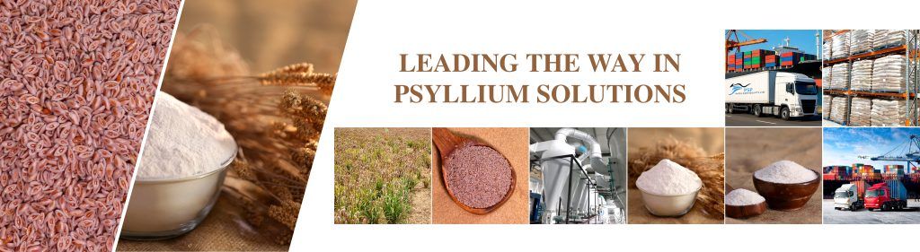 Reliable Psyllium By-Products Supplier in Australia for Food and Feed Needs