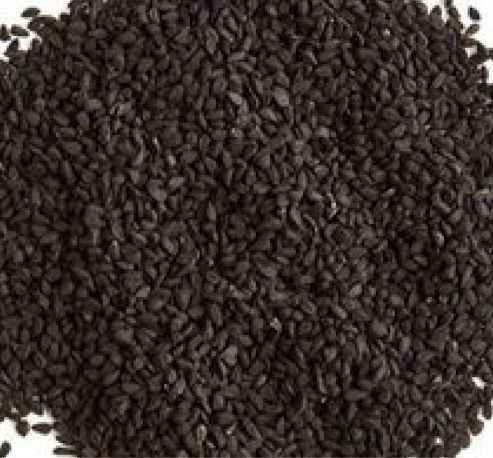 Premium Psyllium Seeds Supplier in Australia for Consistent Quality